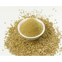 Coriander seeds 100GRAM(கொத்தமல்லி விதை)